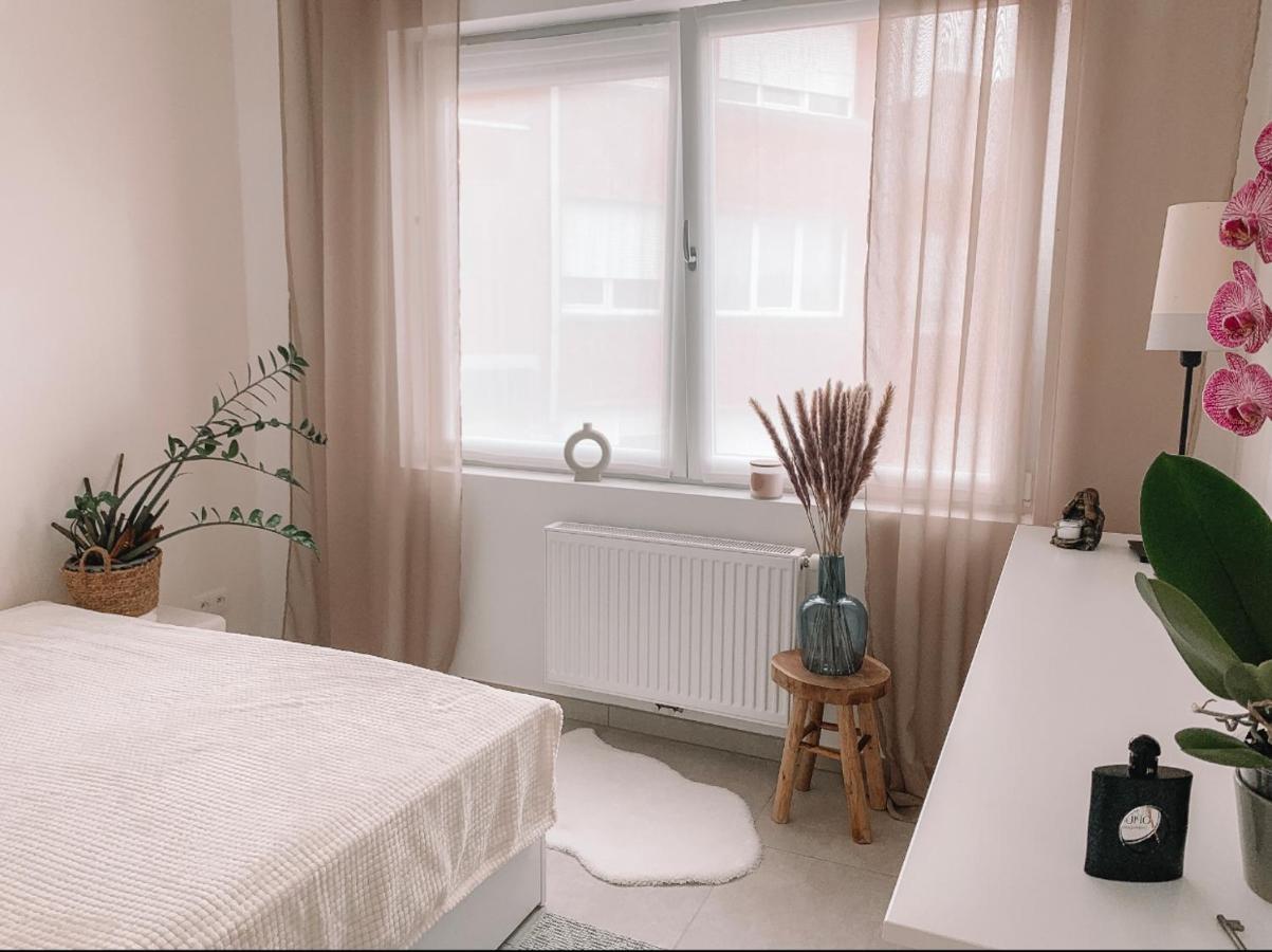 Appartamento Vintage Dream Zwijndrecht Esterno foto