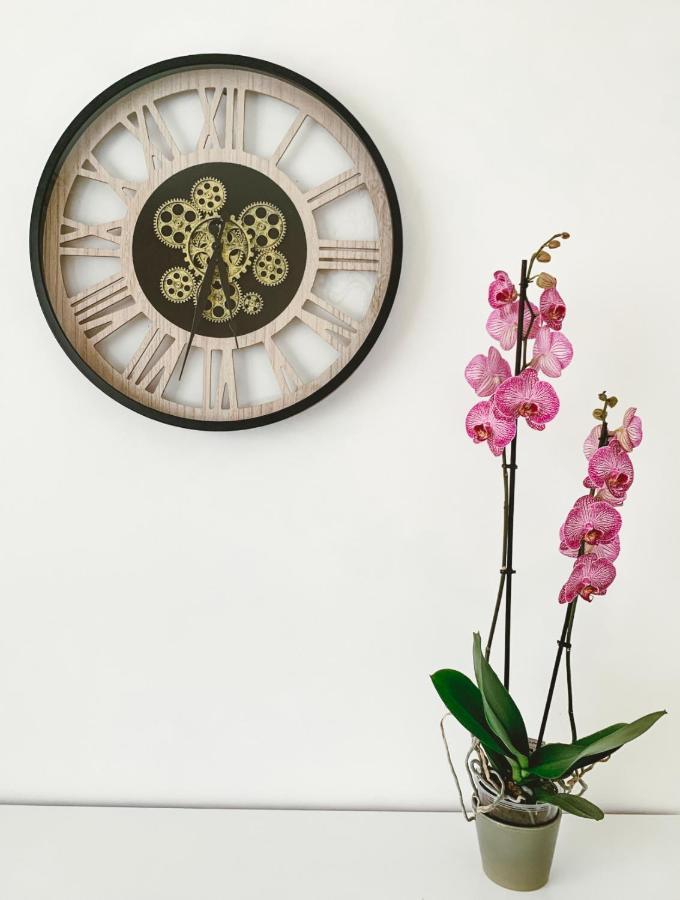 Appartamento Vintage Dream Zwijndrecht Esterno foto